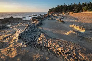 Sandstone: Eroded sandstone concretions and formations at Shore
