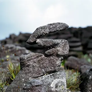 Tepui: Eroded sandstone rockshape on summit of Mount Kukenaam
