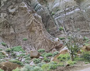 Crumbly: Eroding Sandstone