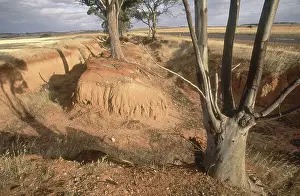 Poor: Erosion from Farming