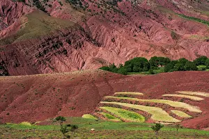 Moroccan: Erosion landscape with small fields, Ait Bouguemez