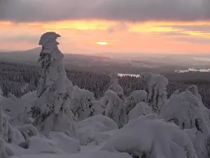 040319: Erzgebirge-snow covered trees at the Fichtelberg