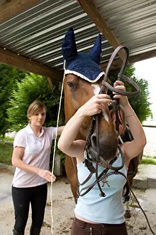 Ager: Establishment of the net to a Horse France