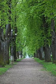Southeastern: Estonia, Southeastern Estonia, Voru, Kateriina