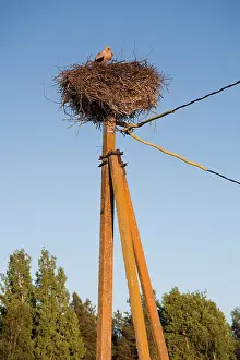 Estonian: Estonia, Southwestern Estonia, Vorts Jarv