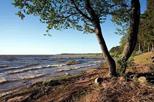 Estonian: Estonia, Southwestern Estonia, Vorts Jarv