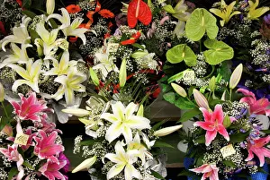 Selling: Estonia, Tallinn. Display of flowers for