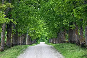 Vanishing: Estonia, Western Estonia Islands, Saaremaa