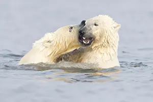 Beaufort: Etats Unis, Alaska, Refuge faunique national arctique