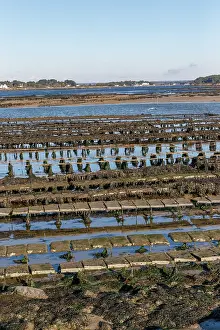 Bretagne: Etel river, Saint Cado with oyster farm
