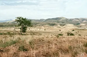 Awash: Ethiopia, Awash National Park