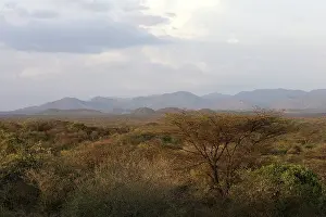 Hamer: Ethiopia - country of Hamer tribe - lower basin of Omo River