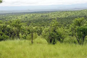 Surma: Ethiopia - Landscape view of the outer Region of