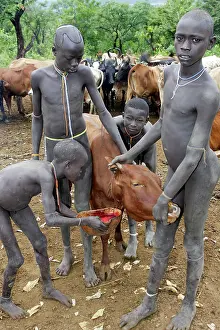 Surma: Ethiopia - Surma: tribe of south west Ethiopia
