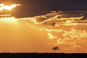 Etosha: ETOSHA