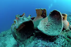 Remain: Etruscan Amphora in a protected archaeological
