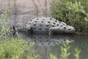 Replica: Euoplocephalus