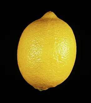 Lemon: Eureka lemon