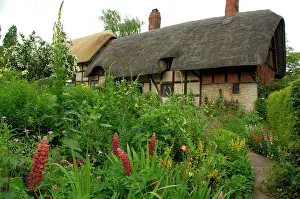 Tudor: Europe, England, Midlands, Warwickshire, Stratford-upon-Avon