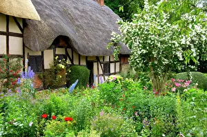 Tudor: Europe, England, Midlands, Warwickshire, Stratford-upon-Avon