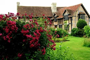 Tudor: Europe, England, Midlands, Warwickshire, Stratford-upon-Avon