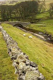 Features: Europe, England, Yorkshire, stone bridge in Yorkshire