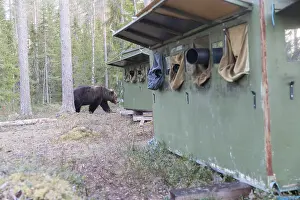 Kajaani: Europe, Finlande, de Kuhmo, Kajaani