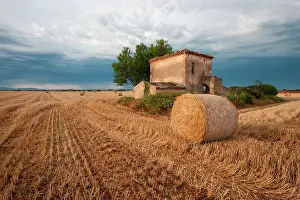 Bale: Europe, France. Hay bale in Provence field