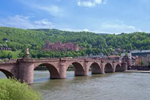 Neckar: Europe, Germany, Baden-Wurttemberg, Heidelberg