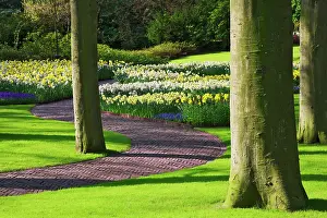 Orderly: Europe, Holland, Lisse, Keukenhof Gardens