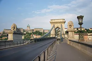 Suspension: Europe, Hungary, Budapest, lion statues
