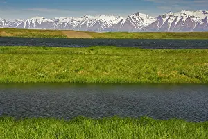 Loeken: Europe, Iceland, scenic landscape of grasses
