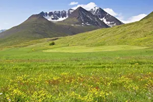 Loeken: Europe, Iceland, scenic landscape of Svarfadardalur
