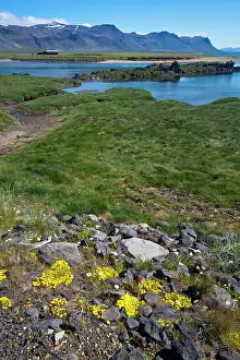 Loeken: Europe, Iceland, Snaefellsnes Peninsula