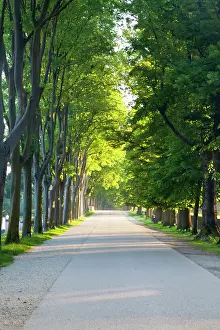 Vacationing: Europe, Italy, Lucca. Walkway Along the