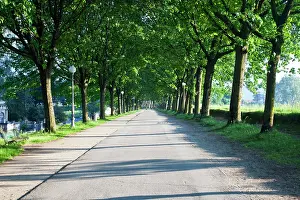 Vacationing: Europe, Italy, Lucca. Walkway Along the