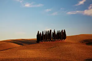 Amber: Europe, Italy, Tuscany