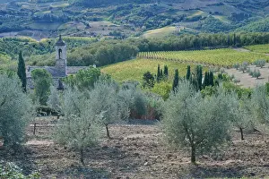 Chianti: Europe, Italy, Tuscany, Chianti, Chianti