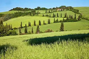 Fertility: Europe, Italy, Tuscany. Famous road winding
