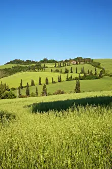 Fertility: Europe, Italy, Tuscany. Famous road winding