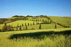 Fertility: Europe, Italy, Tuscany. Famous road winding