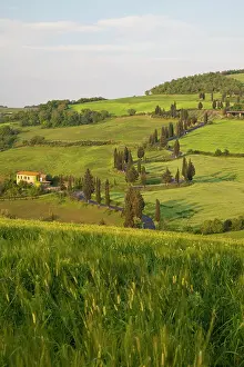 Fertility: Europe, Italy, Tuscany. Famous road winding
