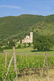 Benedictine: Europe, Italy, Tuscany, Montalcino, Abbazia