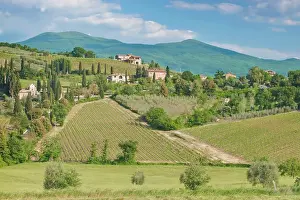 Montalcino: Europe, Italy, Tuscany, near Montalcino
