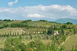 Montalcino: Europe, Italy, Tuscany, near Montalcino