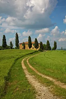 Pienza: Europe, Italy, Tuscany. Pienza. Road Leading