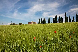 Pienza: Europe, Italy, Tuscany. Pienza. Villa with