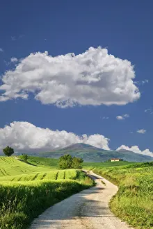 Pienza: Europe, Italy, Tuscany. Road leading to