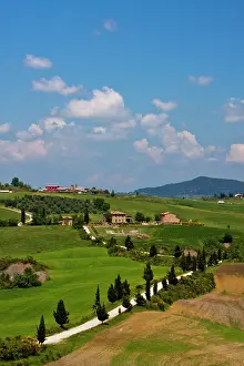 Vacationing: Europe, Italy, Tuscany. Rolling Hills of