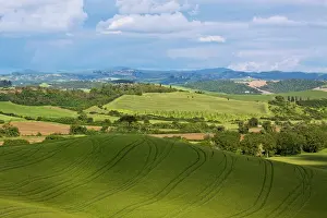 Vacationing: Europe, Italy, Tuscany. Rolling Hills of